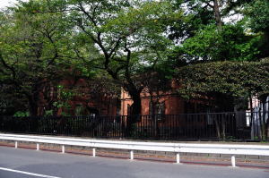 公道向かい側からみた藝大の煉瓦の建物