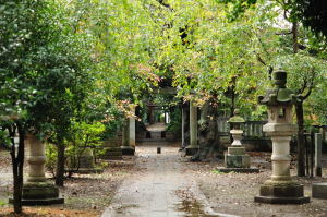 白幡神社本堂前から参道を見る