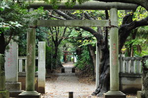 白幡神社三の鳥居から二の鳥居を見る