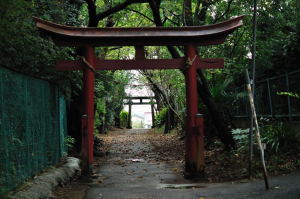白幡神社の赤い二の鳥居から一の鳥居を見る