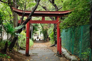 白幡神社の赤い二の鳥居から三の鳥居を見る