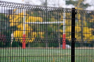 市川学園グランドのサッカーゴールと黄葉した銀杏