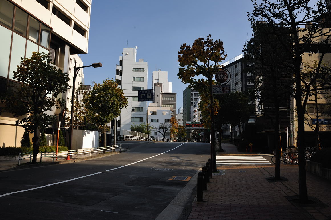 築地川が首都高になりそのころ架けられた新金橋