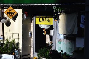 日本橋高校の近くにあるCatsというお店
