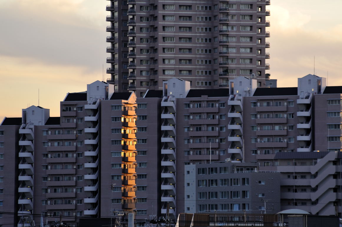 隙間から見える夕陽の当たる西壁