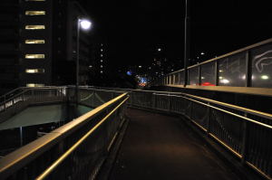 平井大橋を渡り終えると曲がりくねった歩道橋