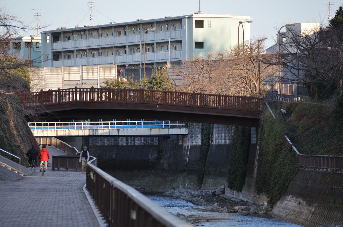 桜の名所に架かる平成みあい橋を遠くから眺める