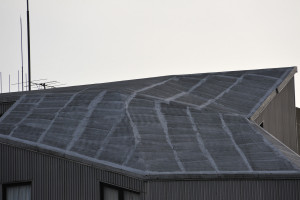 荒川土手から見つけた複雑な形をしたＡＩＳアパートメントの屋根