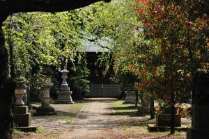 三の鳥居辺りから白幡神社拝殿を見る