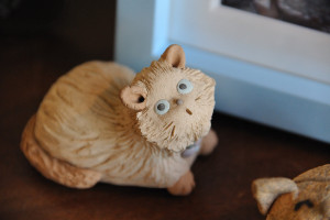 薄茶色の猫