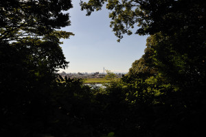 木々にぽっかり開いた丸窓から東京スカイツリーが見える