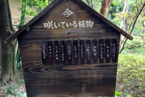 神代植物公園グリーンギャラリー