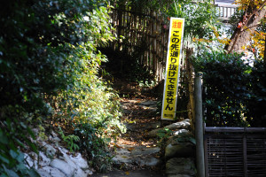 どうせ引き返したとしても大した道のりではなさそうだ