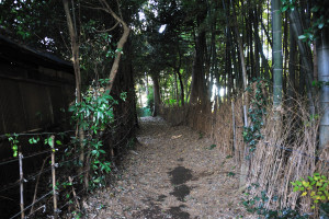 突き当たり左は通れそう