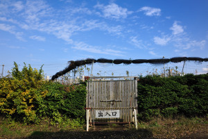 梨園の出入り口のようだ