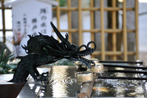 手水舎で水を飲む龍
