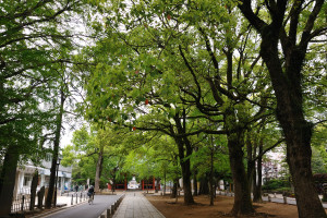 神門側から隋神門を見る