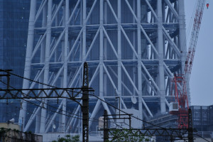 源森橋からの東京スカイツリーの足元