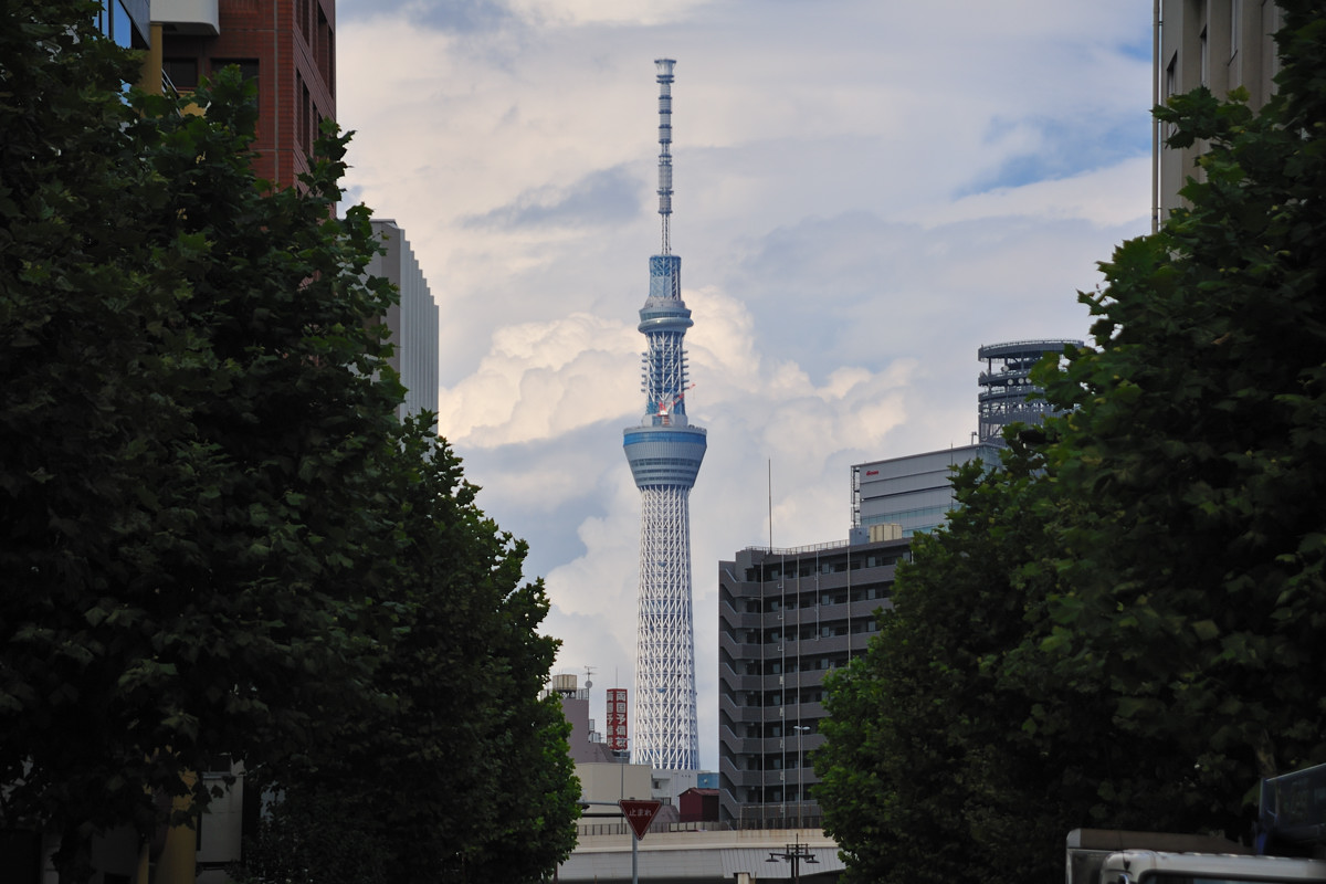 御幸通りの東京スカイツリー