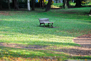 所沢航空公園