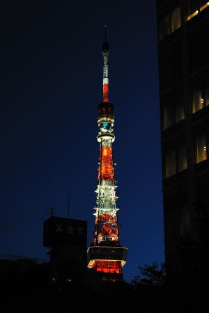 ビルの間から東京タワー