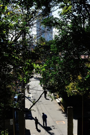弘法寺参道石段で振り返る