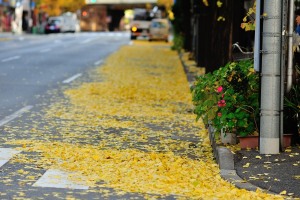 神田金物通り