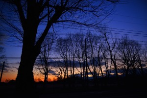 CAFE NOVIROからの夕空