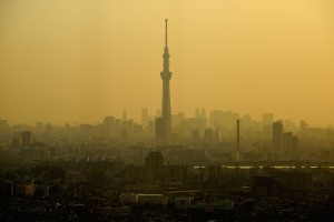 Tokyo Sky Tree, which dissolve in the night sky