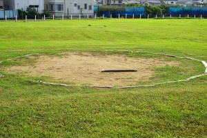 Haircut walk on a sunny day